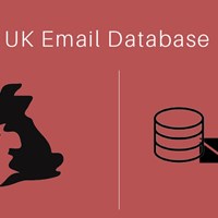 Indian City Email Database's Portfolio
